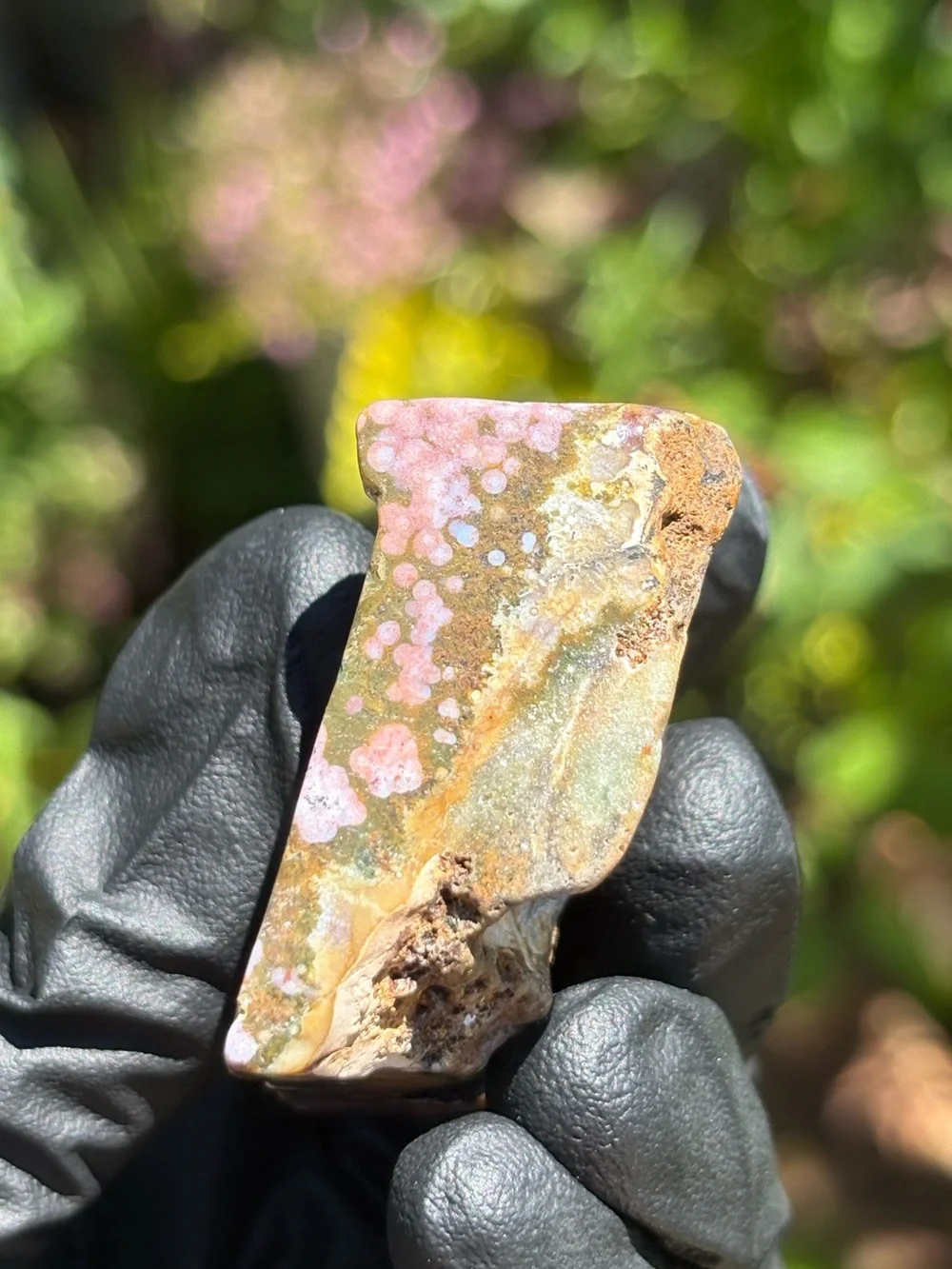 Ocean Jasper Crystal Freeform - Polished Sea Jasper - Orbicular Jasper